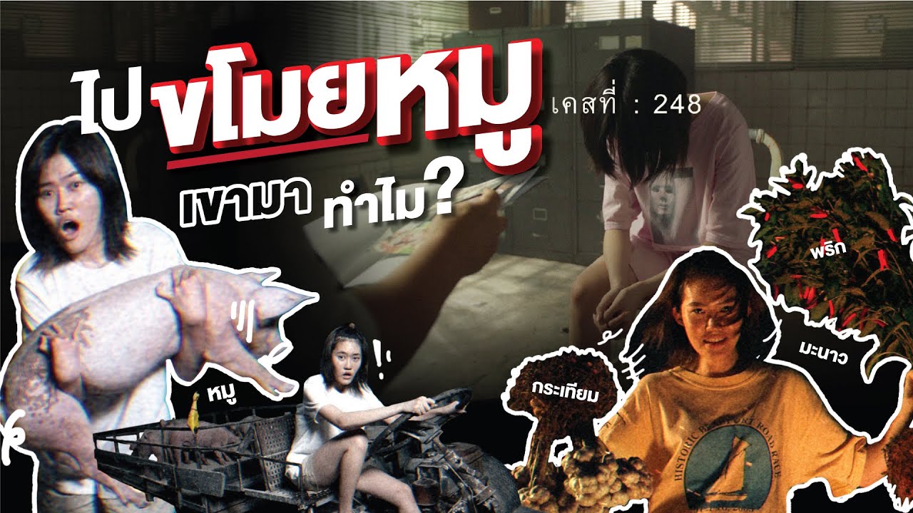 ไปขโมยหมูเค้ามาทำไม?