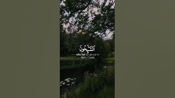 التائبون العابدون 🌿إسلام الصبحي تلاوة مؤثرة حالات واتس اب دينية