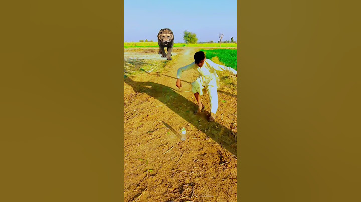 Wait for end VFX short Jab Dolphin trick Me Hui Gadbad  ( @umer2m ) gya🥲🤣 #comedy #shorts #teamsaqib