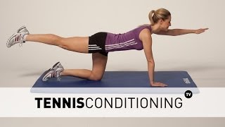 4 Point Prone Alternating Contra-Lateral Limb Raises