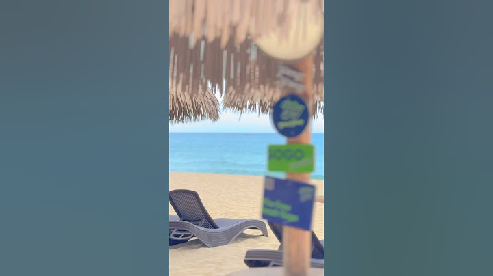 휴양지 분위기 가득 양양 서피비치에서의 핫썸머🏖️