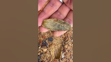 Rhyolite arrowhead pretty piece but just a tip ding missing in South Carolina