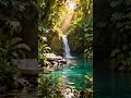 Hidden Waterfall Jungle Escape | Tropical Lounge Chill Music
