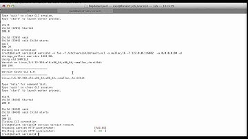 Failed and Unable to Start Varnish 2 in Centos 6