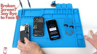 iPod touch 4th repair new orleans