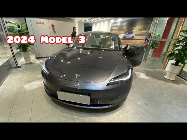 RUIYA Bracciolo Portaoggetti per Tesla Model 3 2024 2025 / Tesla