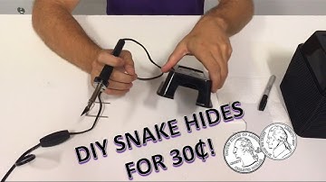 DIY Snake Hide - How to Make for $0.30
