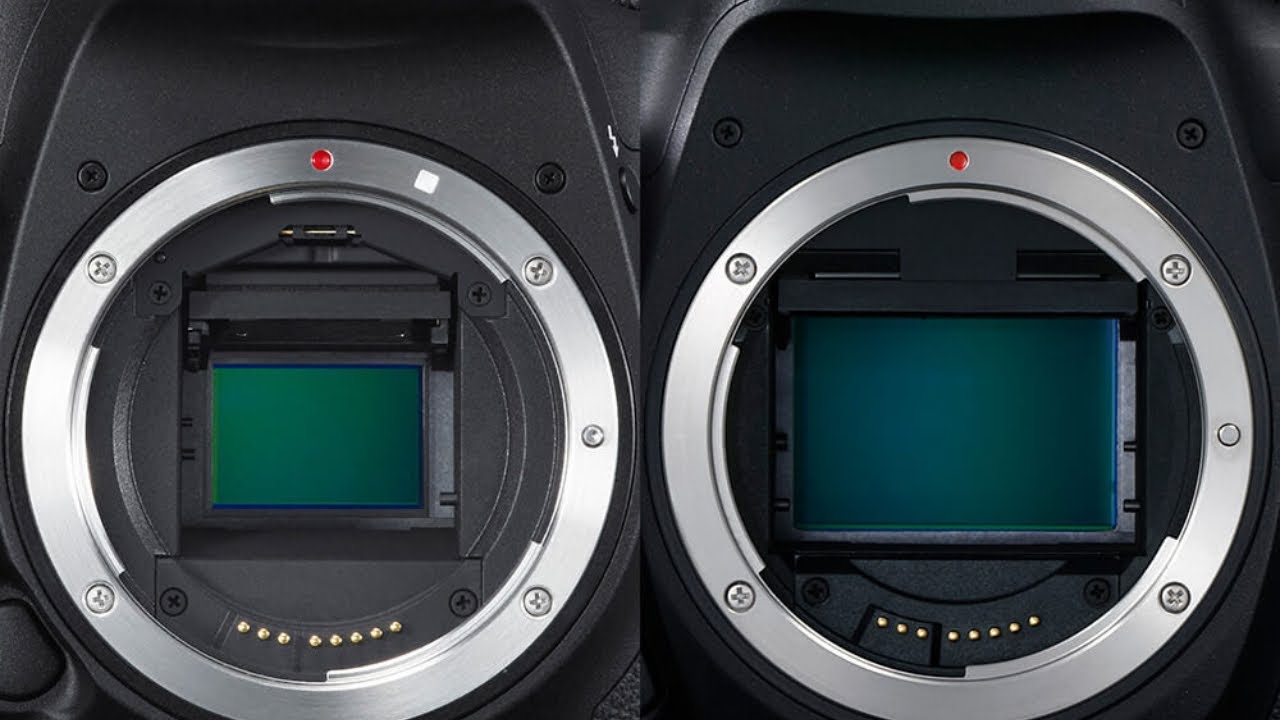 Фул камера. Canon с матрицей APS-C. Full frame vs APS-C. Матрица фотоаппарата Sony a7r Mii. APS-C Sony кроп.