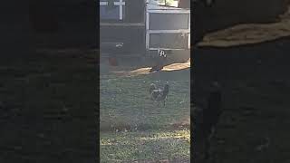 Download Lagu #SEEKJESUSNOW #JESUSISCOMING #PRAY #READYOURBIBLE #THETIMEISATHAND #BELIEVEINJESUS  MP3