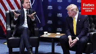 WATCH: Trump And Rutte Publicly Discuss Greenland And Trump's Anger With NATO During Summit