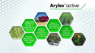 How to plan a robust herbicide programme and the advantages of Arylex™ active
