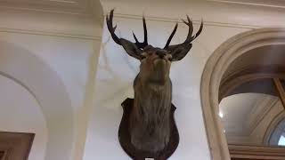 Tofgam Stories From Scotland Episode 18 - Dunrobin Castle