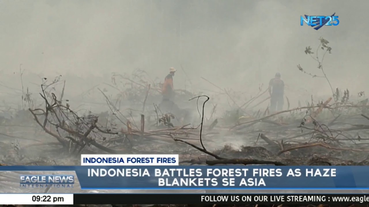 Indonesia battles forest fires as haze blankets SE Asia