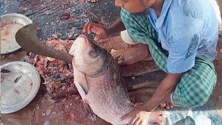 Catla Fish Cutting Skills In Kolkata Fish Cutting Skills