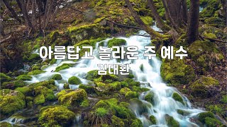 아름답고 놀라운 주 예수 | 김대환 | 1시간 연속듣기
