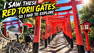 What’s Hiding Behind These Red Torii Gates? ⛩️