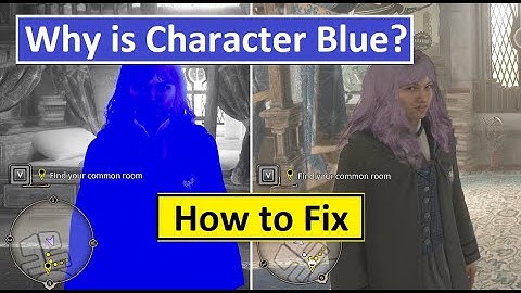 Why is my character Blue in Hogwarts Legacy? How to Fix Color Problem? Use High Contrast Gameplay