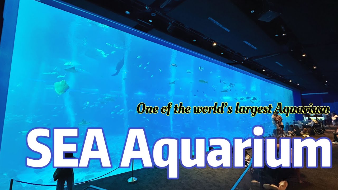 Exploring SEA Aquarium 2025 | A 4K Journey Through One of the World’s Largest Aquariums