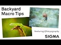 Exploring Your Back Yard for Great Macro Photography Opportunities with SIGMA Lenses