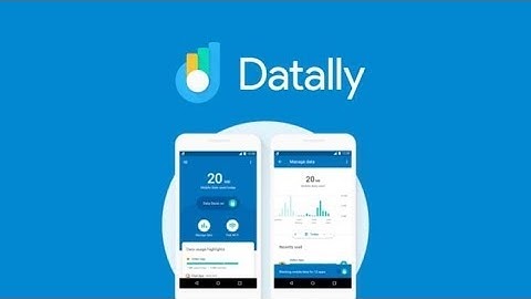 Do DATALLY really works?