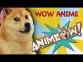 Doge In The Shell: Animeow Ep.8