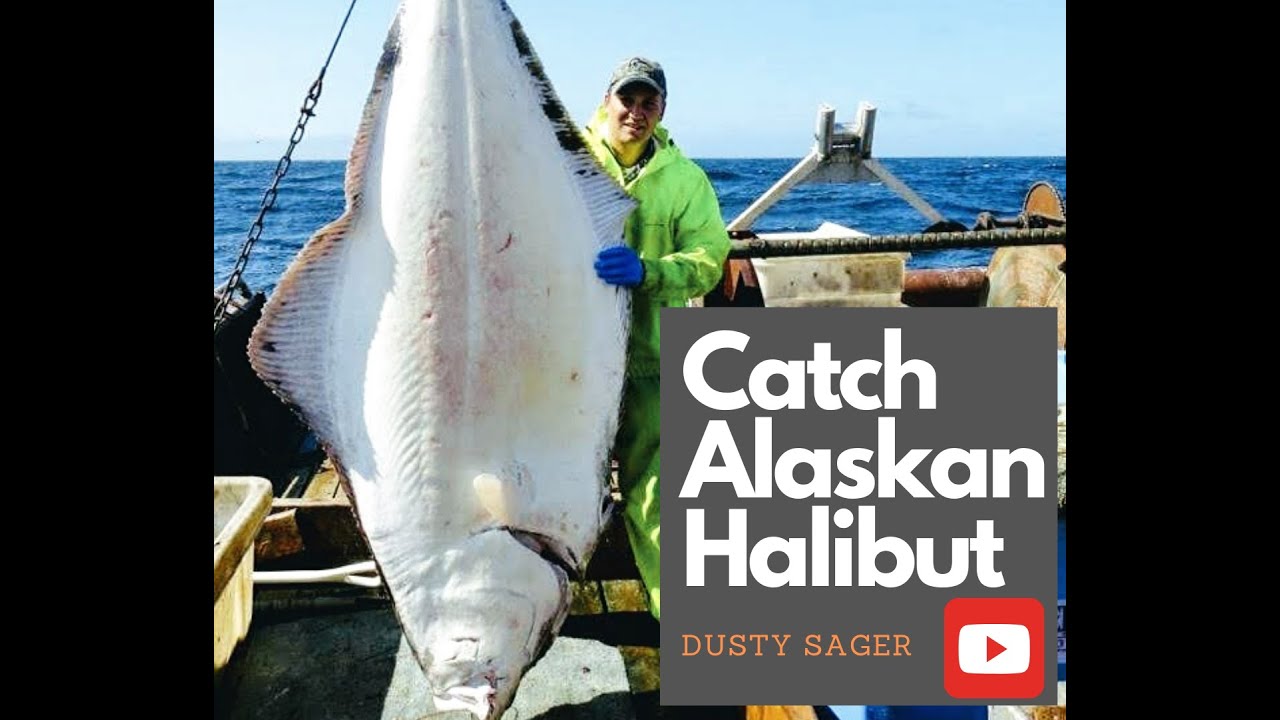 Alaska Halibut Fishing 2012 season YouTube