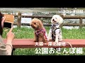 【公園おさんぽ】大阪・深北緑地　ママがトイプードルちゃんを撮ってみたよ【ココレオ日記vol.5】