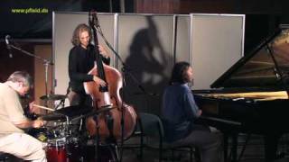 Sven Faller on &quot;Why Because&quot; by TRIO ELF