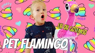 NEW Pink Flamingo Pet!! Levi Learns how to take care of his new pretend pet!