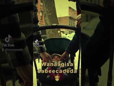 XAASKA Wanaagsan Duet Funny Shortvideo Videoshort