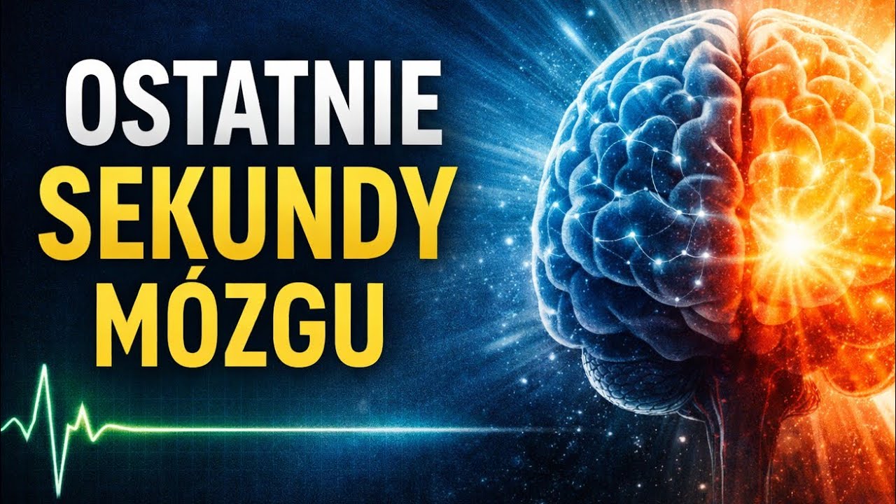 Co dzieje się z mózgiem tuż przed zatrzymaniem serca?