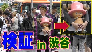 【 検証 】 引きこもりオタクでもチョッパー連れて歩けば「 写真撮って下さい 」って言われる説 【 ワンピース 】