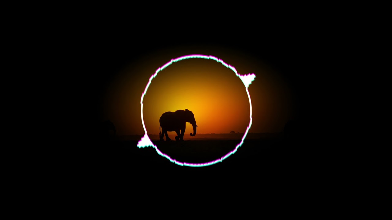 "Animal Parade" Remix 2021