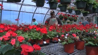 Veterans get new start through greenhouse program