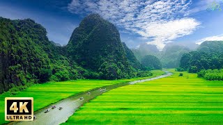 Serenity Relaxing Piano Music  4K Drone Nature Film with Insprising Music  Travel Nature Scenery