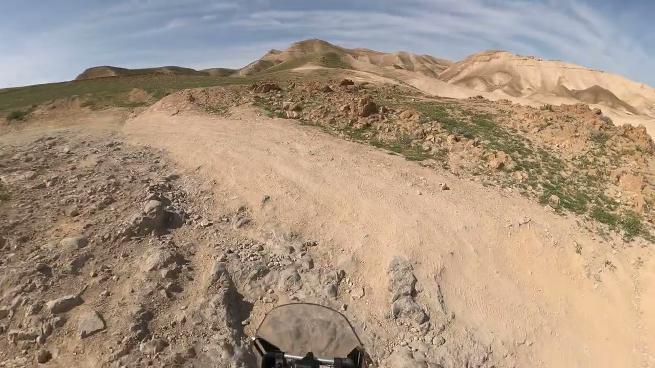 Golden Horizons of the Desert