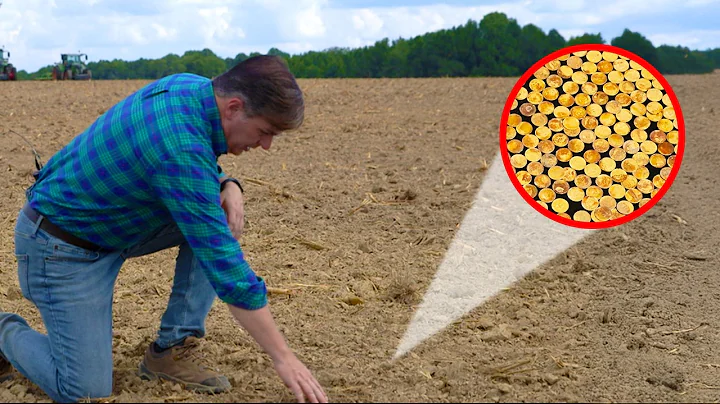 The Full Story of the Great Kentucky Hoard