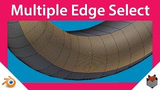 Select Multiple Edge Loops in Blender (Horizontal Only or Vertical Only)
