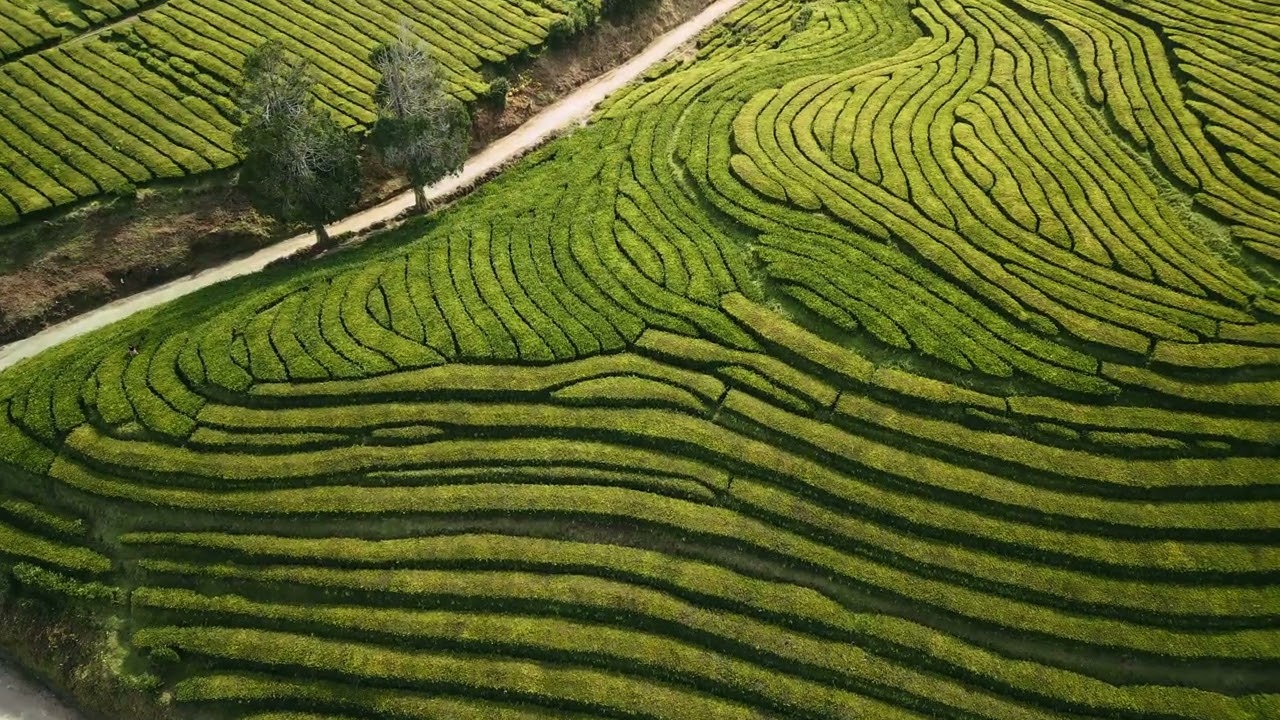 4K Breathtaking Nature Scenic Views| Relaxing Ambient Loop for Sleep, Meditation & Study ( 4 Hours )