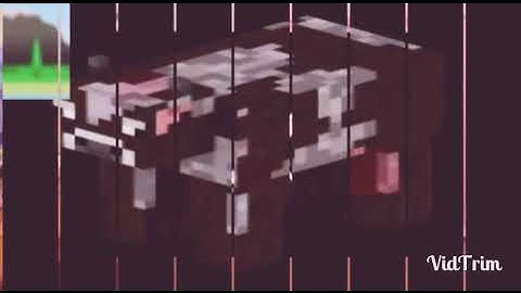 Scan vs round 208 0.25x