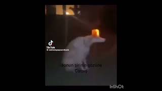 Biz Senden Razıyız Şirinum Ilğan Resimi