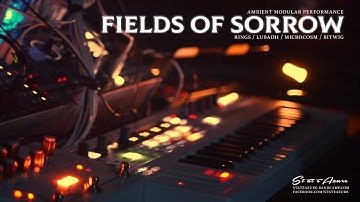 Fields of Sorrow - Ambient Modular Performance (Rings, Lubadh, Microcosm, Bitwig)
