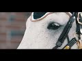 Kiss And Make Up || Equestrian Music Video