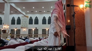 آيات الربا || سورة البقرة || للقارئ : عبدالله عبيد