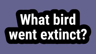 What Bird Went Extinct?