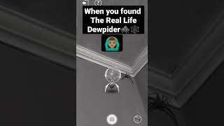 Bruh I Found The Real Dewpider Pokemon Go Memes