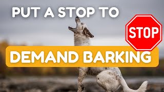 How To Stop Your Dog From Demand Barking by SpiritDog Training 62,906 views 5 months ago 12 minutes, 29 seconds