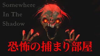 今どこにいると思う！？捕まり部屋ァ！！！！【somewhere in the shadow】