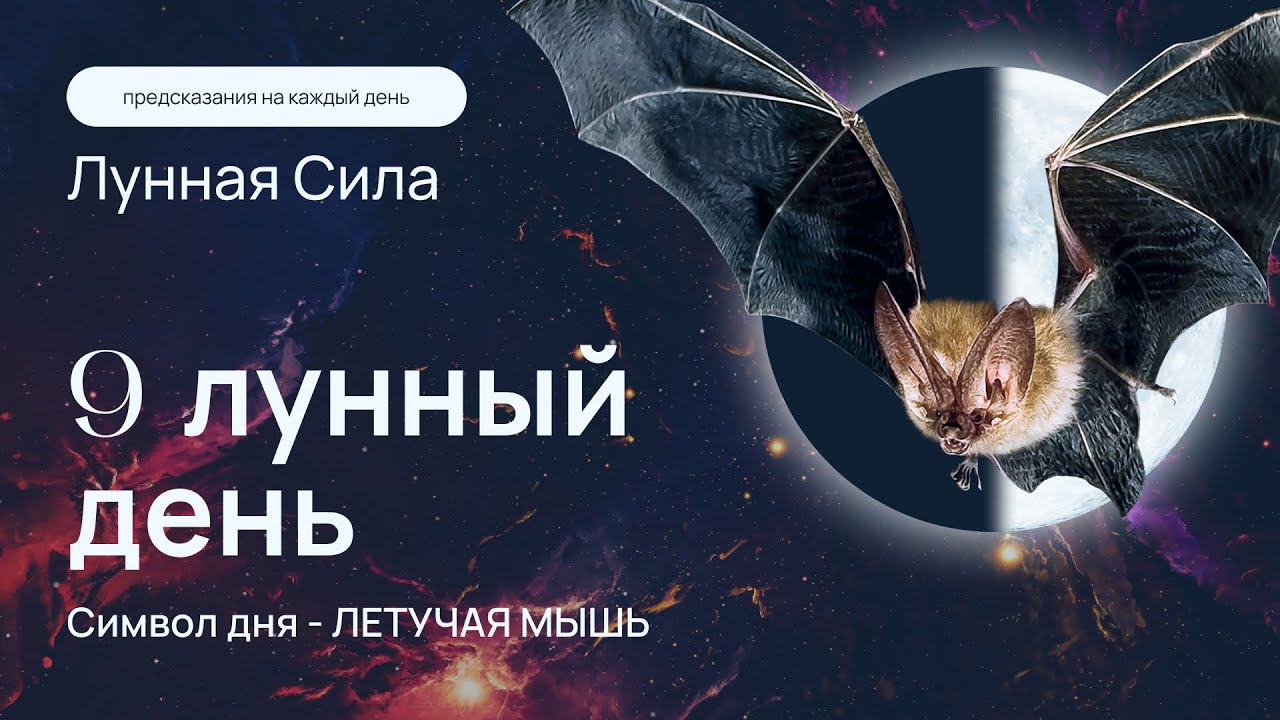 Курс "Лунная сила" - 9 лунный день: энергетическая защита от темных сил и негатива. Кундалини