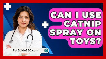 Can I Use Catnip Spray On Toys? - PetGuide360.com